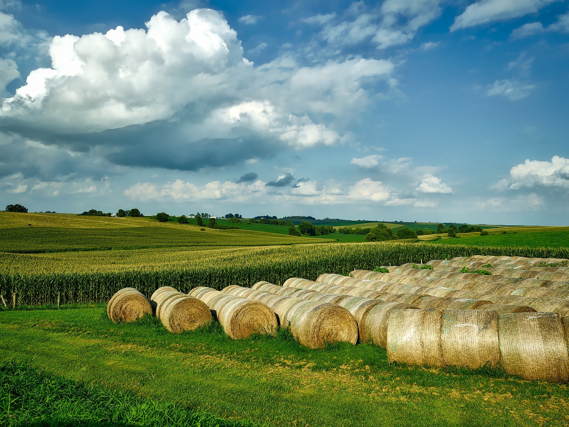 Hay Landscape of Iowa Iowa Hay Bales