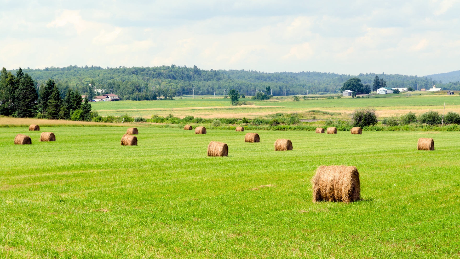 Hay FIeld Daytime Landscape